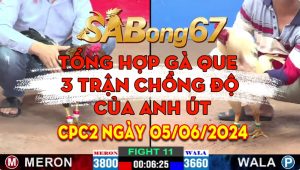 Tổng Hợp 3 Trận Chồng Độ Của Gà Que Anh Út CPC2 05/06/2024