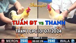 Trận 1 CPC3 13/07/2024 - Gà Bướm Anh Tuấn Đồng Tháp Thắng Đẳng Cấp