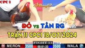 Trận 11 CPC1 18/07/2024 - Gà Anh Tân Rạch Giá Đâm Như Máy Khâu