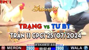 Trận 11 CPC1 25/07/2024 - Gà Anh Trạng Tiễn Anh Tư BT Lên Đường