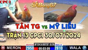 Trận 13 CPC1 30/07/2024 - Gà Mỹ Liều Hạ Đẹp Gà Tân Tiền Giang