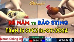 Trận 15 CPC2 17/07/2024 - Gà Chuối Chồng Độ Cái Thứ 2 Của Anh Bé Năm