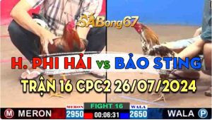 Trận 16 CPC2 26/07/2024 - Hoàng Phi Hải Quyết Tâm Phục Thù Bảo Sting