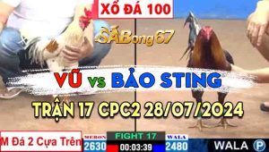 Trận 17 CPC2 28/07/2024 - Bảo Sting Nài Gà Cầm Hòa Đẳng Cấp