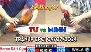 Trận 19 CPC1 09/07/2024 - Gà Anh Tư Chấp 1 Cựa Mà Vẫn Thắng Gọn