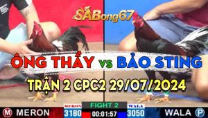 Trận 2 CPC2 28/07/2024 - Gà Bảo Sting Lụm Luôn Gà Của Ông Thầy