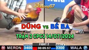 Trận 2 CPC3 14/07/2024 - Gà Anh Bé Ba Đá Ăn Không Chút Khó Khăn