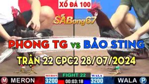 Trận 22 CPC2 28/07/2024 - Gà Bảo Sting Đá Hết Đường Niềng