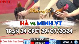 Trận 24 CPC1 29/07/2024 - Gà Anh Hà Chấp Anh Minh VT Cựa Trên Cựa Dưới