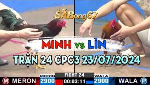 Trận 24 CPC3 23/07/2024 - Gà Anh Lìn Thắng Gà Anh Minh Đẳng Cấp