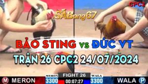 Trận 26 CPC2 24/07/2024 - Cánh Gà Anh Bảo Sting Quá Hừng