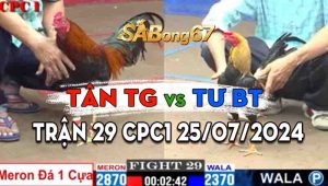 Trận 29 CPC1 25/07/2024 - Tân Tiền Giang Chấp Tư Bến Tre 1 Cây Cựa