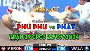 Trận 29 CPC3 22/07/2024 - Gà Phu Phu Đá 3 Chân Bưng Gà Anh Phát Ra