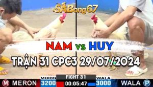 Trận 31 CPC3 29/07/2024 - Gà Anh Huy Có Chân Đá Phản Quá Đẳng Cấp