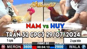 Trận 32 CPC3 29/07/2024 - Gà Anh Nam Chấp 1 Cựa Mà Đá Như 2 Cựa