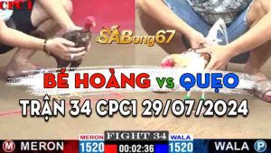 Trận 34 CPC1 29/07/2024 - Gà Anh Hoàng Đâm Toàn Cựa Tịch