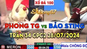 Trận 34 CPC2 28/07/2024 - Gà Chồng Độ Nhỏ Hơn 3 Chấm Bảo Sting Vẫn Lụm