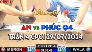 Trận 4 CPC1 29/07/2024 - Gà Anh Phúc Đâm Gà Anh An Không Chịu Nổi