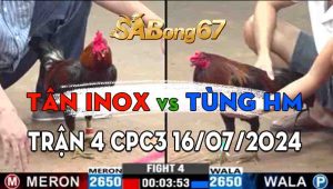 Trận 4 CPC3 16/07/2024 - Gà Anh Tùng Hóc Môn Đá Đòn Mã Kỵ