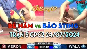 Trận 5 CPC2 24/07/2024 - Gà Bảo Sting Lụm Nhẹ Anh Bé Năm