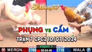 Trận 7 CPC2 10/07/2024 - Anh Phụng Tung Gà Độc Nhãn Long Thắng Gọn