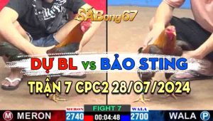 Trận 7 CPC2 28/07/2024 - Anh Bảo Sting Dí Bạc, Chuyện Lạ Có Thật