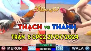 Trận 8 CPC2 21/07/2024 - Bảo Sting Nài Gà Vẫn Không Thắng Nổi Anh Thanh