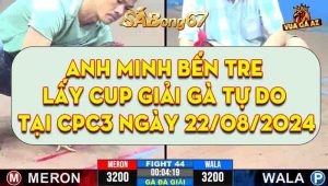 Hành Trình Minh Bến Tre Lấy Cup Giải Gà Tự Do Tại CPC3 22/08/2024