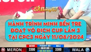 Hành Trình Minh Bến Tre Đoạt Vô Địch Cup Lần 3 Tại CPC3 Ngày 11/08/2024