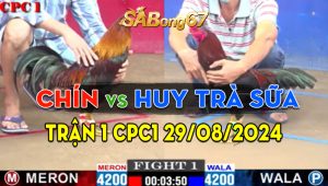 Trận 1 CPC1 29/08/2024 - Gà Anh Chín Đá Quá Nhanh Quá Nguy Hiểm