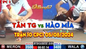 Trận 10 CPC1 05/08/2024 - Gà Anh Hào Mía Đâm Không Kịp Đỡ