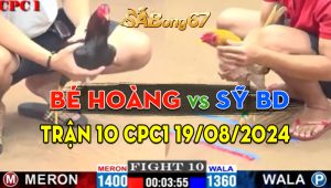 Trận 10 CPC1 19/08/2024 - Gà Anh Sỹ Bình Dương Đá Cựa Quá Hiểm