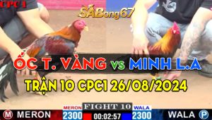 Trận 10 CPC1 26/08/2024 - Gà Nhập Của Anh Ốc Tiệm Vàng Hạ Đẹp Má Minh