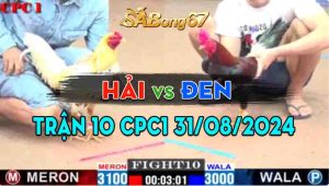 Trận 10 CPC1 31/08/2024 - Gà Anh Hải Hạ Luôn Gà Anh Đen