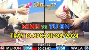 Trận 10 CPC3 21/08/2024 - Anh Minh Đưa Anh Tư Đồng Nai Lên Đường