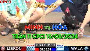 Trận 11 CPC1 15/08/2024 - Anh Hòa Quá Hừng Tiếp Tục Hạ Đẹp Anh Minh