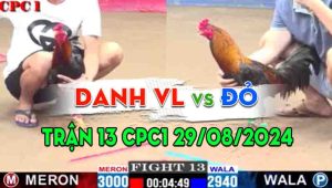 Trận 13 CPC1 29/08/2024 - Gà Anh Đỏ Gãy Cánh Nhưng Vẫn Thắng