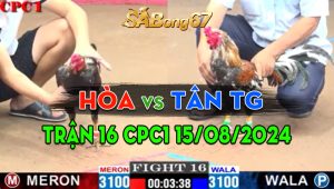 Trận 16 CPC1 15/08/2024 - Anh Hòa Bất Bại, Thắng 6 Trận Liên Tiếp