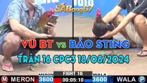 Trận 16 CPC3 18/08/2024 - Anh Bảo Sting Nay Đưa Anh Em Về Bờ