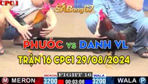 Trận 16 CPC3 29/08/2024 - Gà Anh Danh Vĩnh Lộc Đá Như Cái Máy Khâu