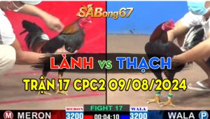 Trận 17 CPC2 09/08/2024 - Gà Anh Thạch Quá Nhanh Quá Nguy Hiểm