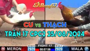 Trận 17 CPC2 25/08/2024 - Gà Anh Cu Tiễn Anh Thạch Lên Đường