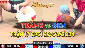 Trận 17 CPC3 29/08/2024 - Anh Đen Mà Gặp Anh Trắng Thì Khó Cứu