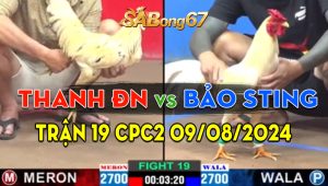 Trận 19 CPC2 09/08/2024 - Anh Thanh Đồng Nai Hạ Đẹp Anh Bảo Sting