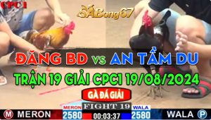 Trận 19 Giải CPC1 19/08/2024 - Anh Đăng Bình Dường Và Anh An Tầm Du