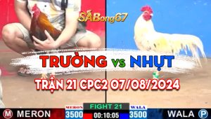 Trận 21 CPC2 07/08/2024 - Gà Anh Nhựt Đá Canh Chặn Quá Khôn Khéo