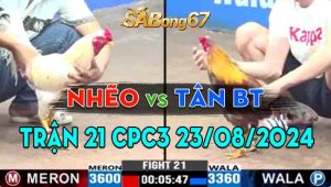 Trận 21 CPC3 23/08/2024 - Anh Nhẽo Hạ Đẹp Anh Tân Bến Tre