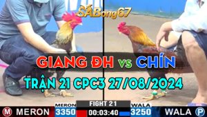 Trận 21 CPC3 27/08/2024 - Anh Giang Đức Hòa Đá 3 Chân Lụm Lúa