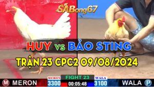 Trận 23 CPC2 09/08/2024 - Anh Bảo Sting Lên Tiếng, Lấy Lại Phong Độ