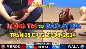 Trận 25 CPC2 21/08/2024 - Long Thomo Hạ Bảo Sting, Đá Xổ 1 Tỏi